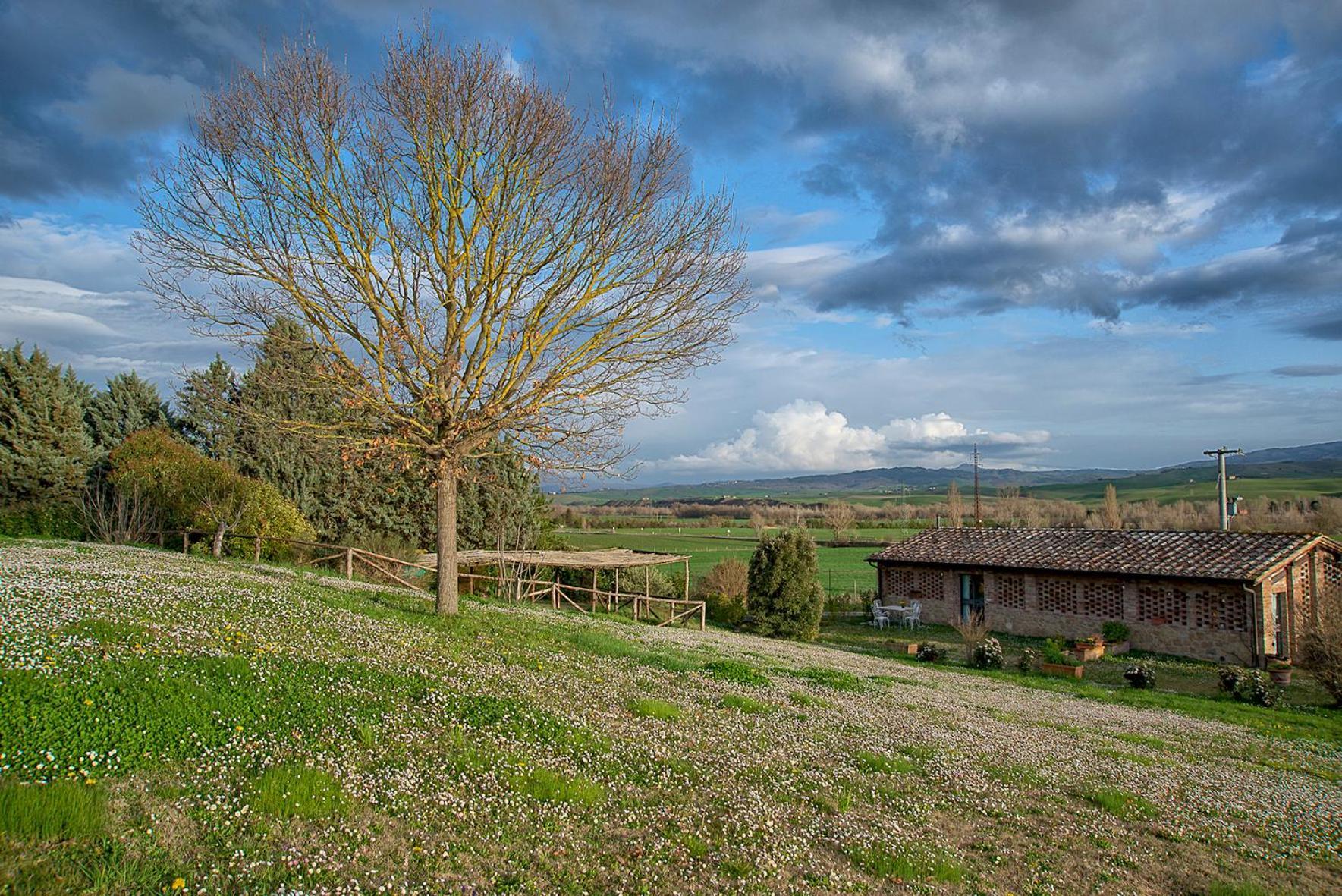 Agriturismo Le Sorbelle D'Orcia Con Piscina Pienza Exterior foto