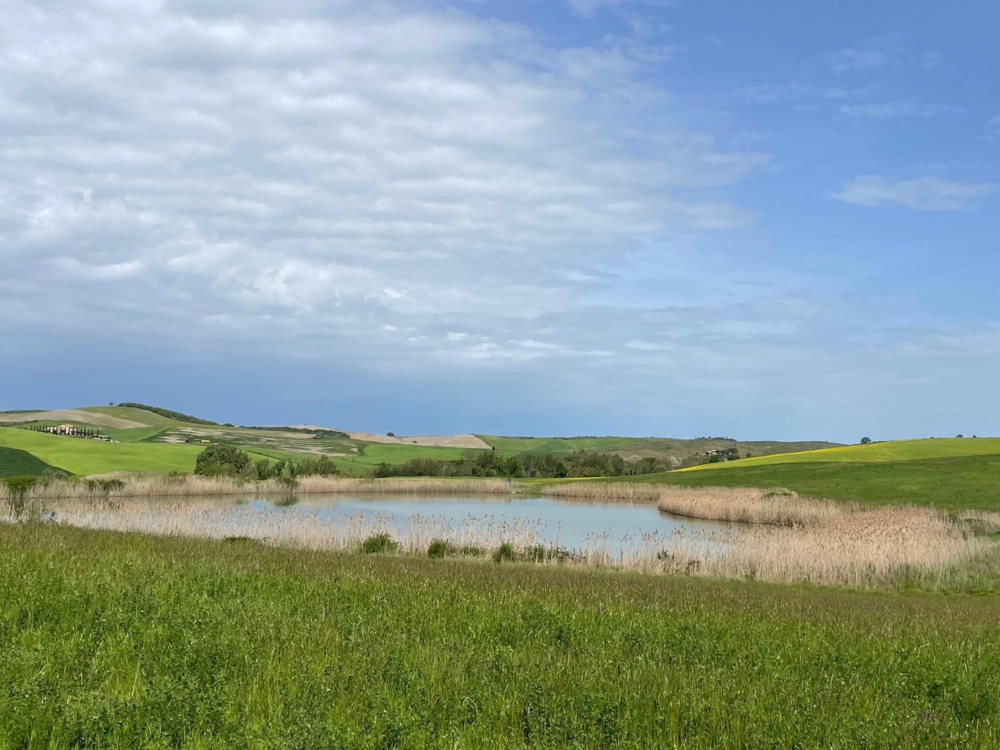 Agriturismo Le Sorbelle D'Orcia Con Piscina Pienza Exterior foto